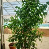 База отдыха Предгорье, фото гостя