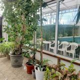 База отдыха Предгорье, фото гостя