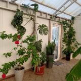 База отдыха Предгорье, фото гостя