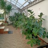 База отдыха Предгорье, фото гостя