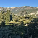 Вид с террасы 5 этажа отеля 