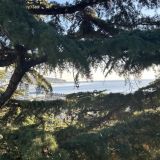 Вид с террасы отеля на 5 этаже 