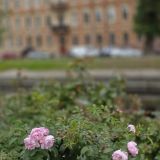 Отель Матисов Домик у Новой Голландии, фото гостя