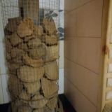 Гостевой дом Аист, фото гостя