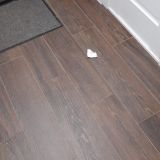 Апартаменты Студия в самом центре Мурманска, фото гостя