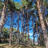 Кавказские Минеральные Воды, фото отдыхающего в ноябре