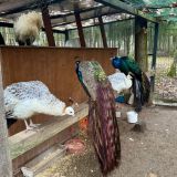 Гостиница LES Art Resort, фото гостя