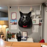 Мини-отель Бегемот Маяковская, фото гостя