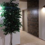 Экопарк Поляны, фото гостя