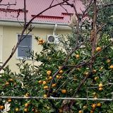 Большой Сочи, фото отдыхающего в декабре