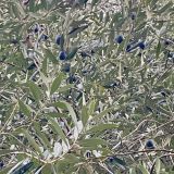 Большой Сочи, фото отдыхающего в декабре