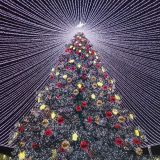 Тула, фото отдыхающего в декабре