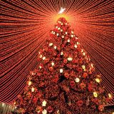 Тула, фото отдыхающего в декабре