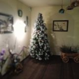 Гостевой дом ART-Room Чистые Ключи, фото гостя