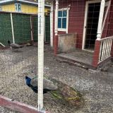 Гостиница Кунак, фото гостя