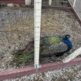 Гостиница Кунак, фото гостя