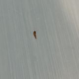 Отель Арома на Кожуховской, фото гостя