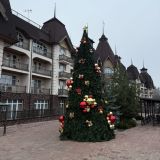 Парк-Отель Орловский, фото гостя