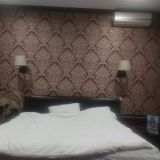 Отель Мартон Берлинский дом, фото гостя