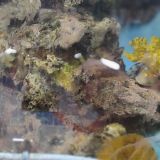 Парк-Отель Псыгупс, фото гостя