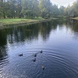 Ленинградская область, фото отдыхающего в ноябре