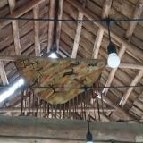 Загородный отель Тропикана Парк, фото гостя