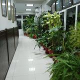 Гостевой дом Садко на Шевченко, фото гостя