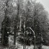 Отель Бостан, фото гостя