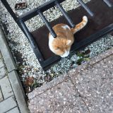 Кубань, фото отдыхающего в декабре