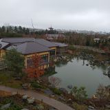 Кубань, фото отдыхающего в декабре