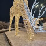 Мурманск, фото отдыхающего в декабре