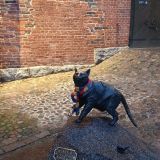 Выборг, фото отдыхающего в декабре