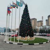 Топос Конгресс-Отель, фото гостя