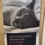 Гостиница Эрбелия от Васта, Роза Хутор, фото гостя