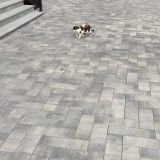 Отель Ski Resort, фото гостя