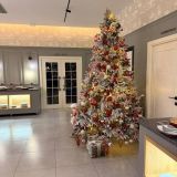 Отель Королева Луиза, фото гостя