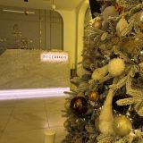 Отель Королева Луиза, фото гостя