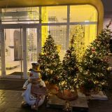 Отель Королева Луиза, фото гостя