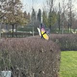 Краснодар, фото отдыхающего в декабре