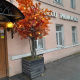 Отель Арт Деко Приморский, фото гостя