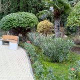 Алушта, фото отдыхающего в декабре