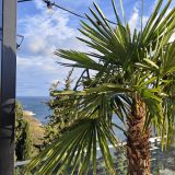 Отель Ялта Интурист, фото гостя