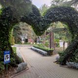 Санаторий Демерджи, фото гостя