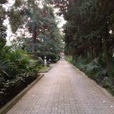 Санаторий Демерджи, фото гостя