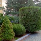 Санаторий Демерджи, фото гостя