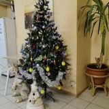 Отель Алоха, фото гостя