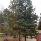 База отдыха Проховское Подворье, фото гостя