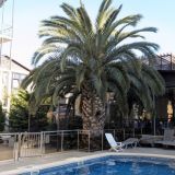 Отель Ева, фото гостя