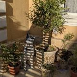 Отель Ева, фото гостя