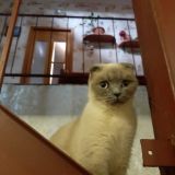 Гостевой дом На Прямой, фото гостя